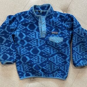Patagonia Synchilla Fleece Pullover